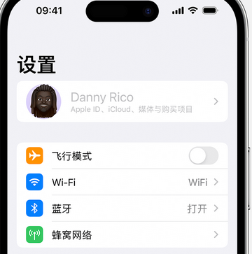 东丰appleID维修服务iPhone设置中Apple ID显示为灰色无法使用 