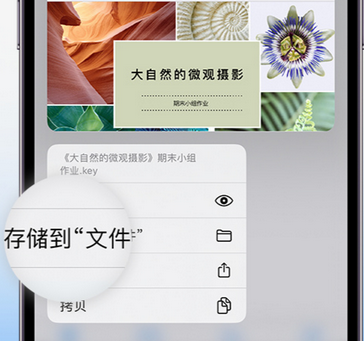 东丰apple维修中心分享iPhone文件应用中存储和找到下载文件