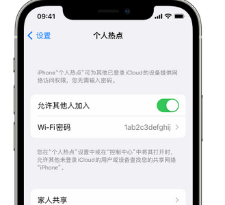 东丰apple服务站点分享iPhone上个人热点丢失了怎么办 