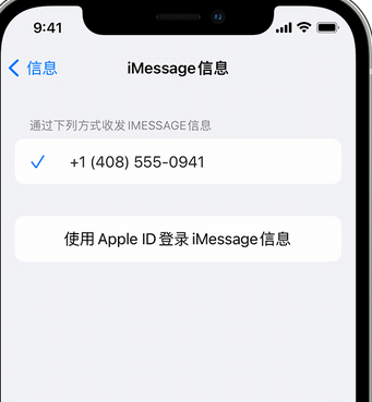 东丰apple维修iPhone上无法正常发送iMessage信息 