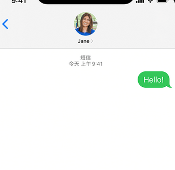 东丰apple维修iPhone上无法正常发送iMessage信息