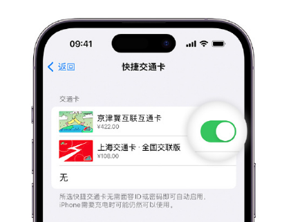 东丰apple维修点分享iPhone上更换Apple Pay快捷交通卡手绘卡面 