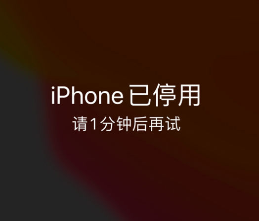 东丰苹果手机维修分享:iPhone 显示“不可用”或“已停用”怎么办？还能保留数据吗？ 