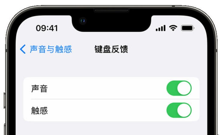 东丰苹果手机维修分享iPhone 14触感键盘使用方法 