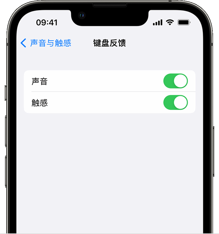 东丰苹果14维修分享iPhone 14 系列机型如何开启键盘声音或触感反馈 
