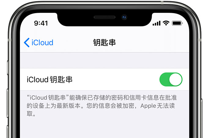 东丰苹果手机维修分享在 iPhone 上开启 iCloud 钥匙串之后会储存哪些信息 