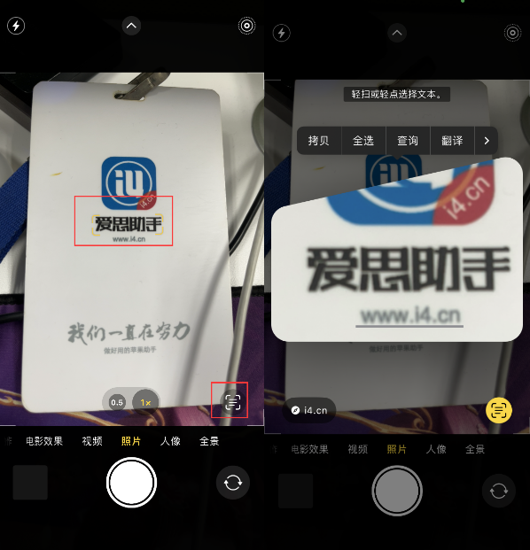 东丰苹果手机维修分享升级iOS 16后如何通过相机翻译文本 