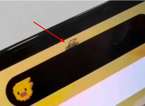 东丰苹果14维修分享iPhone 14 Pro Max灵动岛怎么养宠物 