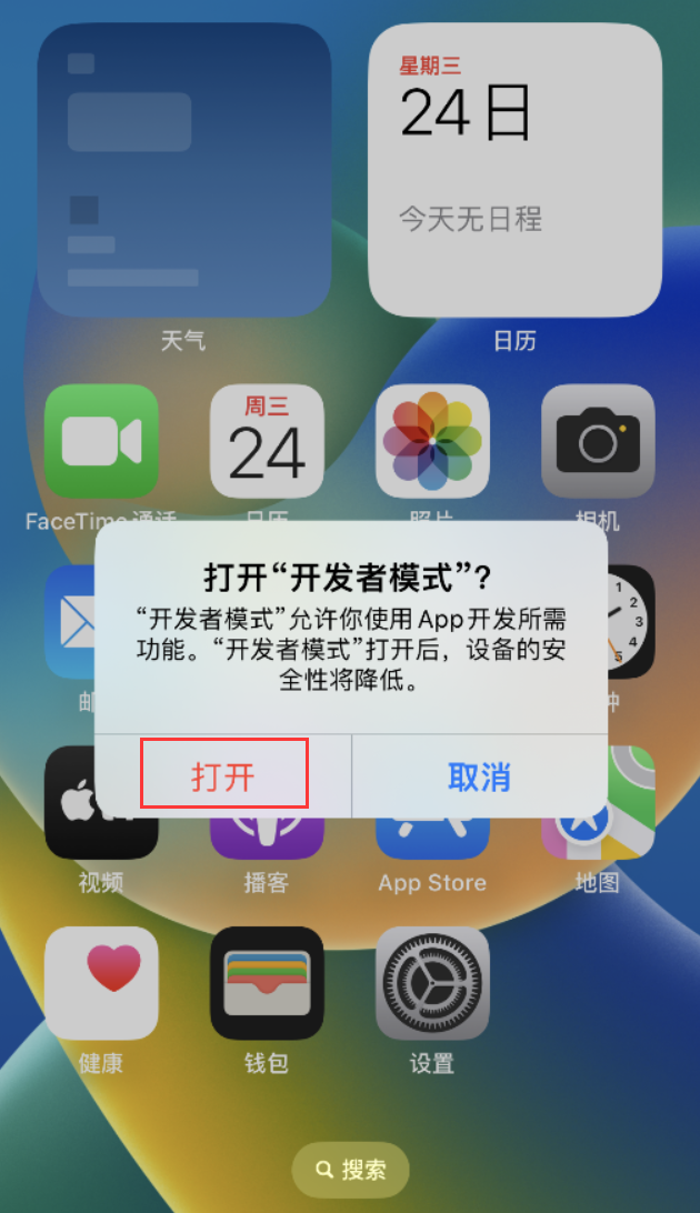 东丰苹果手机维修分享如何打开开发者模式 
