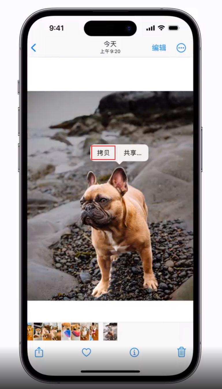 东丰苹果手机维修分享 iOS 16 自带一键抠图功能 