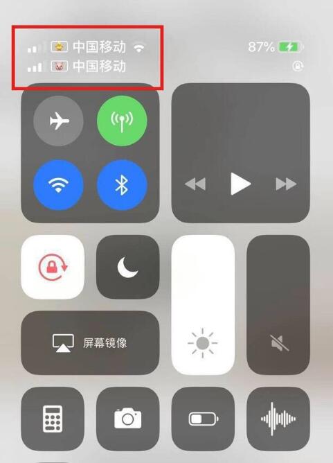 东丰苹果手机维修分享为 iPhone 12 双卡设置标签 